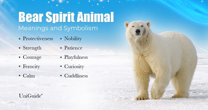 Bear Symbolism Meaning Spirit Animal 