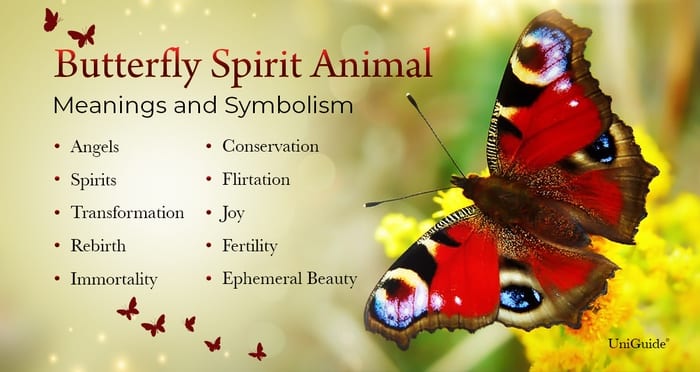 Butterfly Meaning Symbolism The Butterfly Spirit Animal 2022 