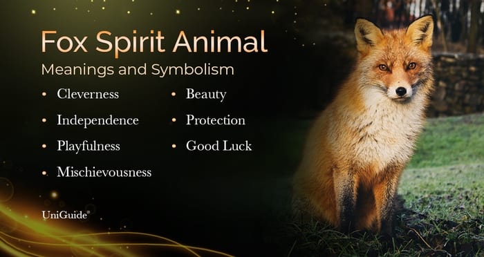 Fox Symbolism Meaning Spirit Animal 