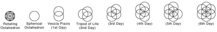 Seed of Life Meaning and Symbolism Explained | UniGuide