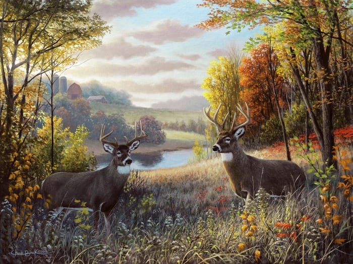 Deer Symbolism & Meaning & the Deer Spirit Animal | UniGuide