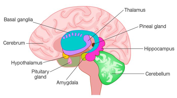 Third Eye Guide: Chakra, Opening, Closing & More | UniGuide