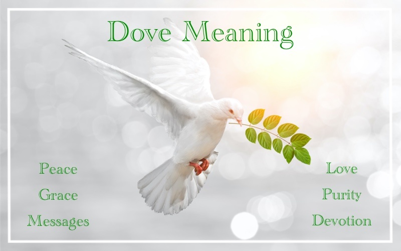 holy spirit dove symbol