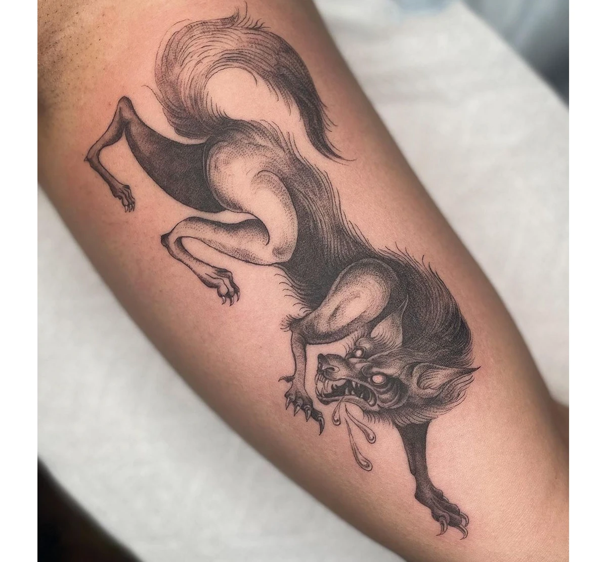 Wild Wolf Tattoo on Arm