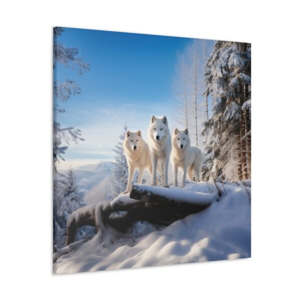 Three Arctic Wolves