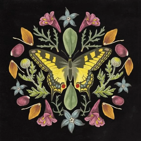 Yellow Butterfly Mandala