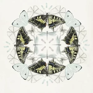 Black & Yellow, White, and Light Blue Butterfly Mandala Art Print