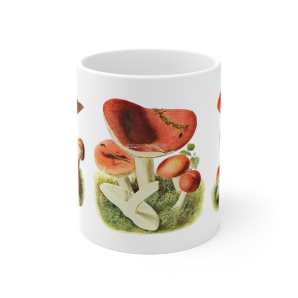 Mushroom Mug Center