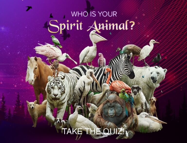 Spirit Animal Quiz